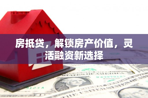 修武房抵贷，解锁房产价值，灵活融资新选择