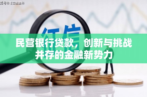 修武民营银行贷款，创新与挑战并存的金融新势力