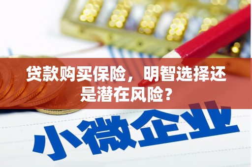修武贷款购买保险，明智选择还是潜在风险？