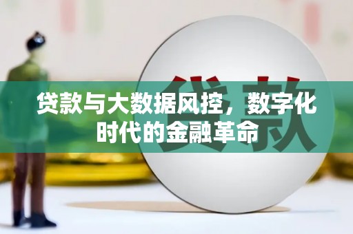 修武贷款与大数据风控，数字化时代的金融革命