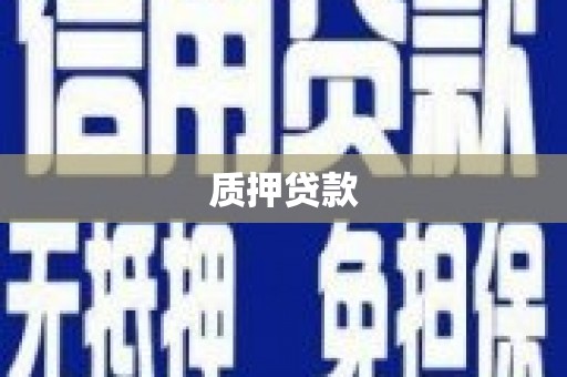 修武质押贷款