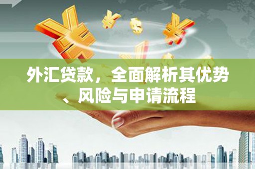 修武外汇贷款，全面解析其优势、风险与申请流程