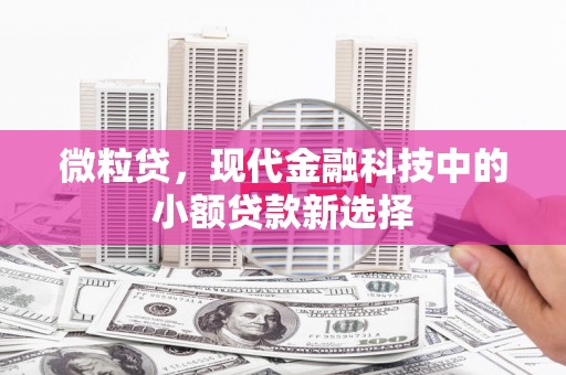 修武微粒贷，现代金融科技中的小额贷款新选择