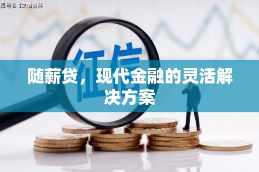 修武随薪贷，现代金融的灵活解决方案
