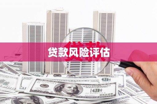 修武贷款风险评估