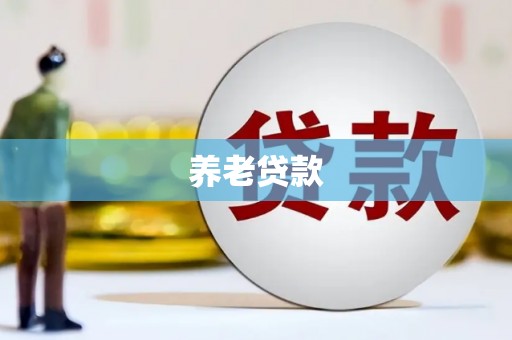 修武养老贷款