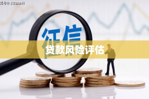 修武贷款风险评估