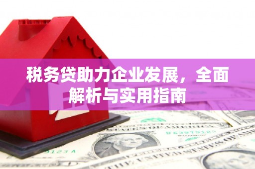 修武税务贷助力企业发展，全面解析与实用指南