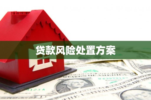 修武贷款风险处置方案