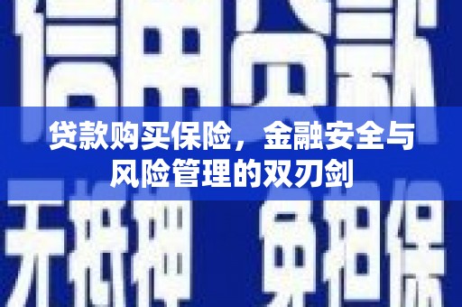 修武贷款购买保险，金融安全与风险管理的双刃剑