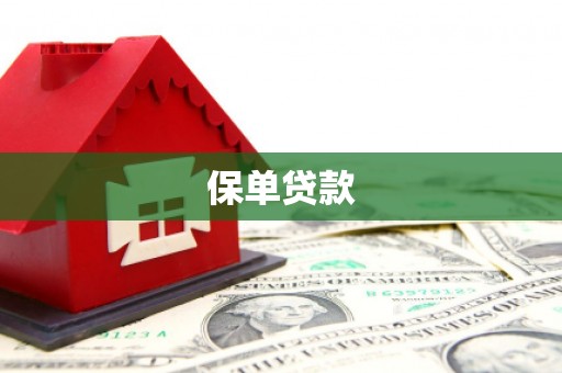 修武保单贷款