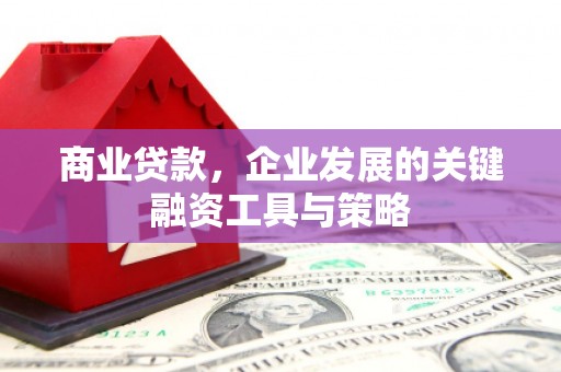 修武商业贷款，企业发展的关键融资工具与策略