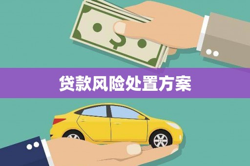 修武贷款风险处置方案