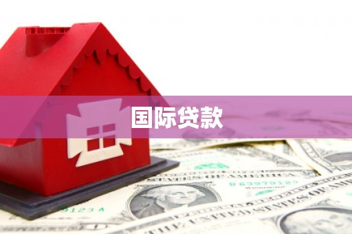 修武国际贷款