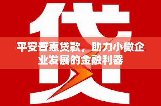 修武平安普惠贷款，助力小微企业发展的金融利器