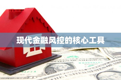 修武现代金融风控的核心工具