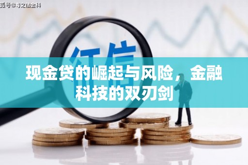 修武现金贷的崛起与风险，金融科技的双刃剑