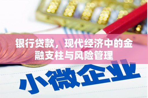修武银行贷款，现代经济中的金融支柱与风险管理