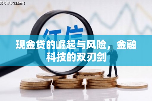 修武现金贷的崛起与风险，金融科技的双刃剑