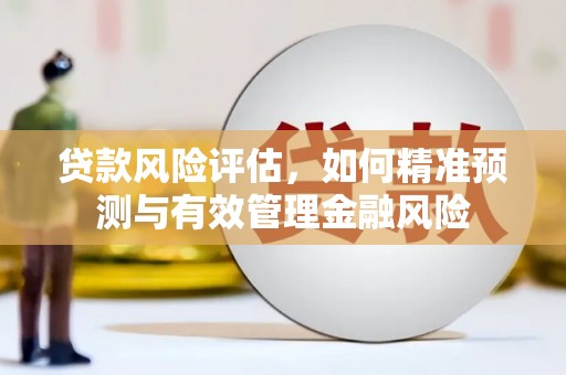 修武贷款风险评估，如何精准预测与有效管理金融风险
