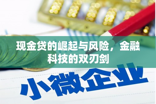 修武现金贷的崛起与风险，金融科技的双刃剑
