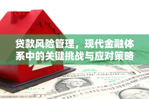 修武贷款风险管理，现代金融体系中的关键挑战与应对策略