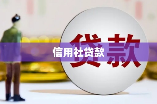 修武信用社贷款
