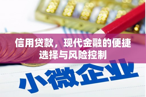 修武信用贷款，现代金融的便捷选择与风险控制