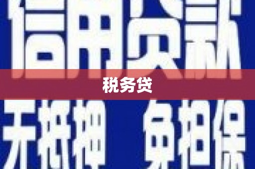 修武税务贷