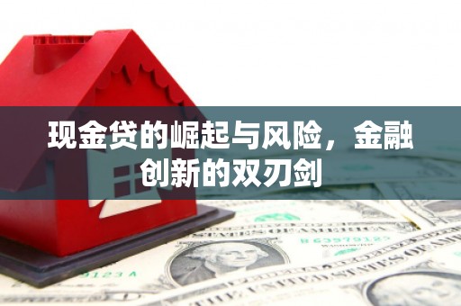 修武现金贷的崛起与风险，金融创新的双刃剑