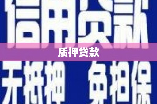 修武质押贷款