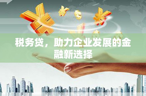 修武税务贷，助力企业发展的金融新选择