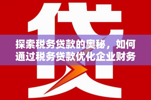 修武探索税务贷款的奥秘，如何通过税务贷款优化企业财务