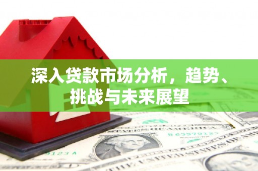 修武深入贷款市场分析，趋势、挑战与未来展望