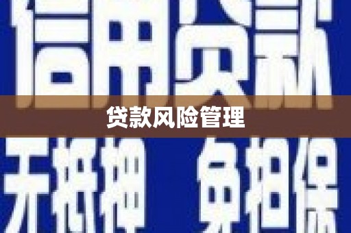 修武贷款风险管理