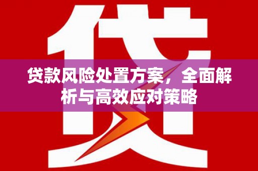 修武贷款风险处置方案，全面解析与高效应对策略
