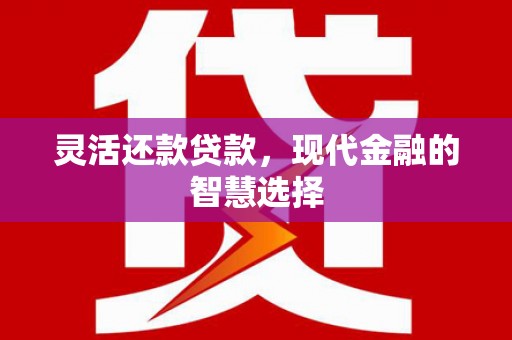 修武灵活还款贷款，现代金融的智慧选择