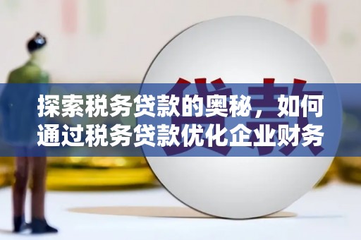 修武探索税务贷款的奥秘，如何通过税务贷款优化企业财务