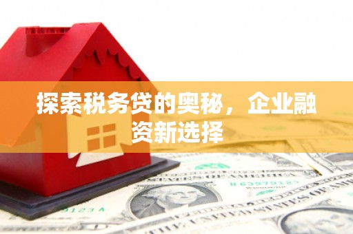 修武探索税务贷的奥秘，企业融资新选择