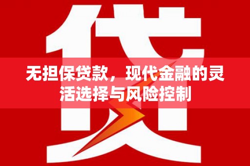 修武无担保贷款，现代金融的灵活选择与风险控制