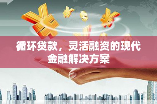 修武循环贷款，灵活融资的现代金融解决方案