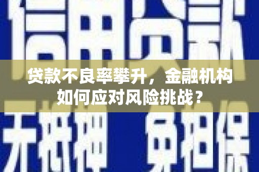 修武贷款不良率攀升，金融机构如何应对风险挑战？