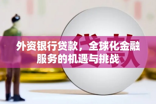 修武外资银行贷款，全球化金融服务的机遇与挑战
