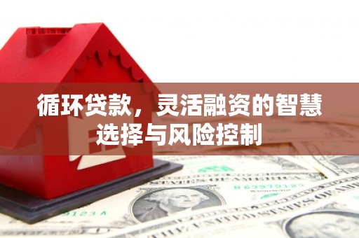 修武循环贷款，灵活融资的智慧选择与风险控制