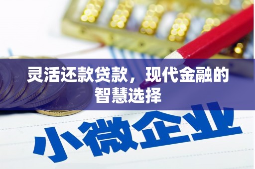 修武灵活还款贷款，现代金融的智慧选择