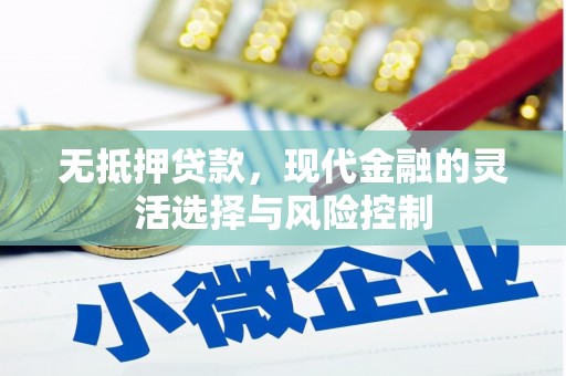 修武无抵押贷款，现代金融的灵活选择与风险控制
