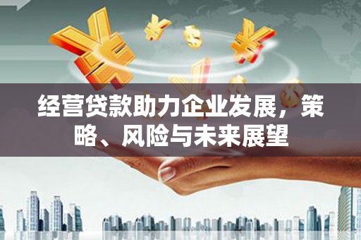 修武经营贷款助力企业发展，策略、风险与未来展望