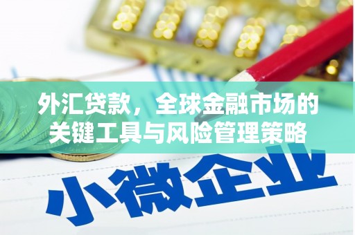 修武外汇贷款，全球金融市场的关键工具与风险管理策略