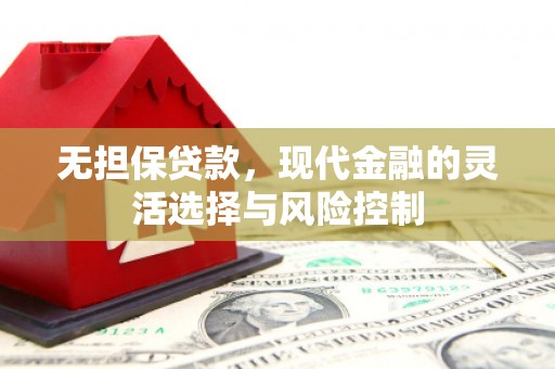 修武无担保贷款，现代金融的灵活选择与风险控制