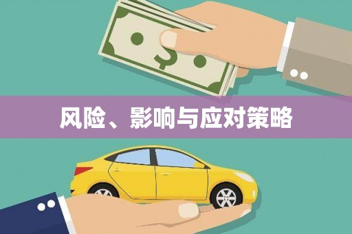 修武风险、影响与应对策略